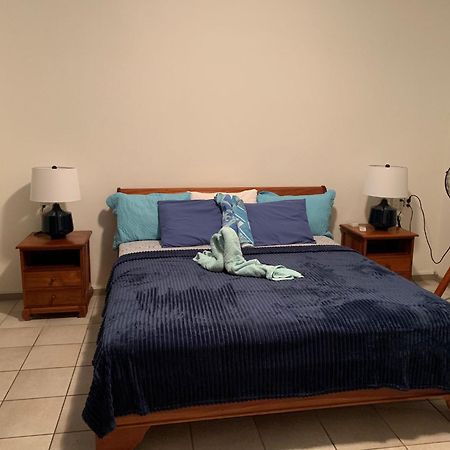 Royal Palm Resort Curacao Geweldig Zeezicht Willemstad Esterno foto