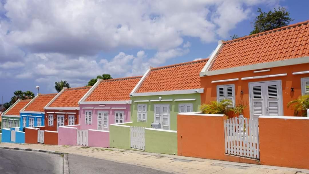 Royal Palm Resort Curacao Geweldig Zeezicht Willemstad Esterno foto