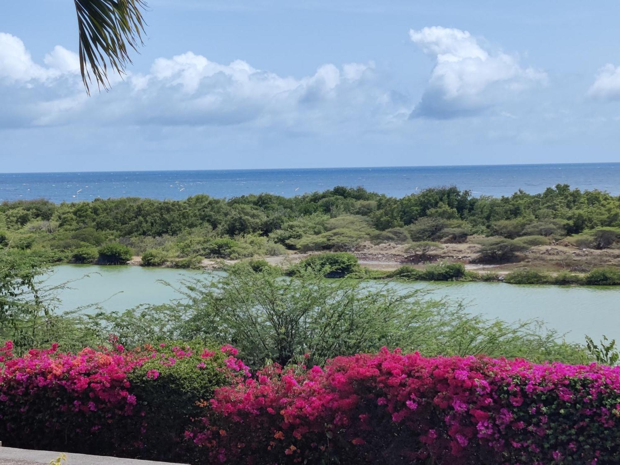 Royal Palm Resort Curacao Geweldig Zeezicht Willemstad Esterno foto