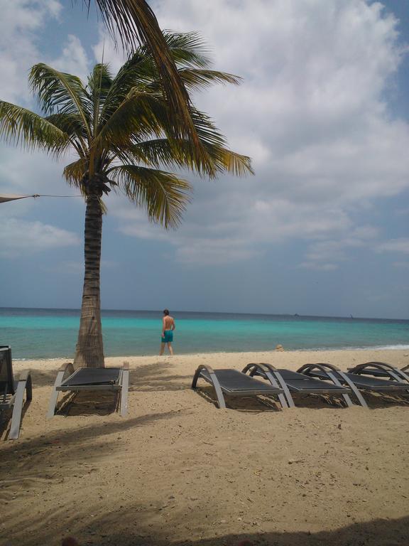 Royal Palm Resort Curacao Geweldig Zeezicht Willemstad Esterno foto