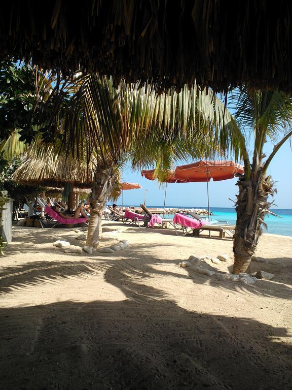 Royal Palm Resort Curacao Geweldig Zeezicht Willemstad Esterno foto