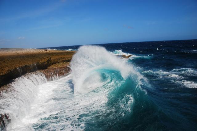 Royal Palm Resort Curacao Geweldig Zeezicht Willemstad Esterno foto